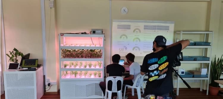 Singapore Indoor Farms IoT Showcase cover